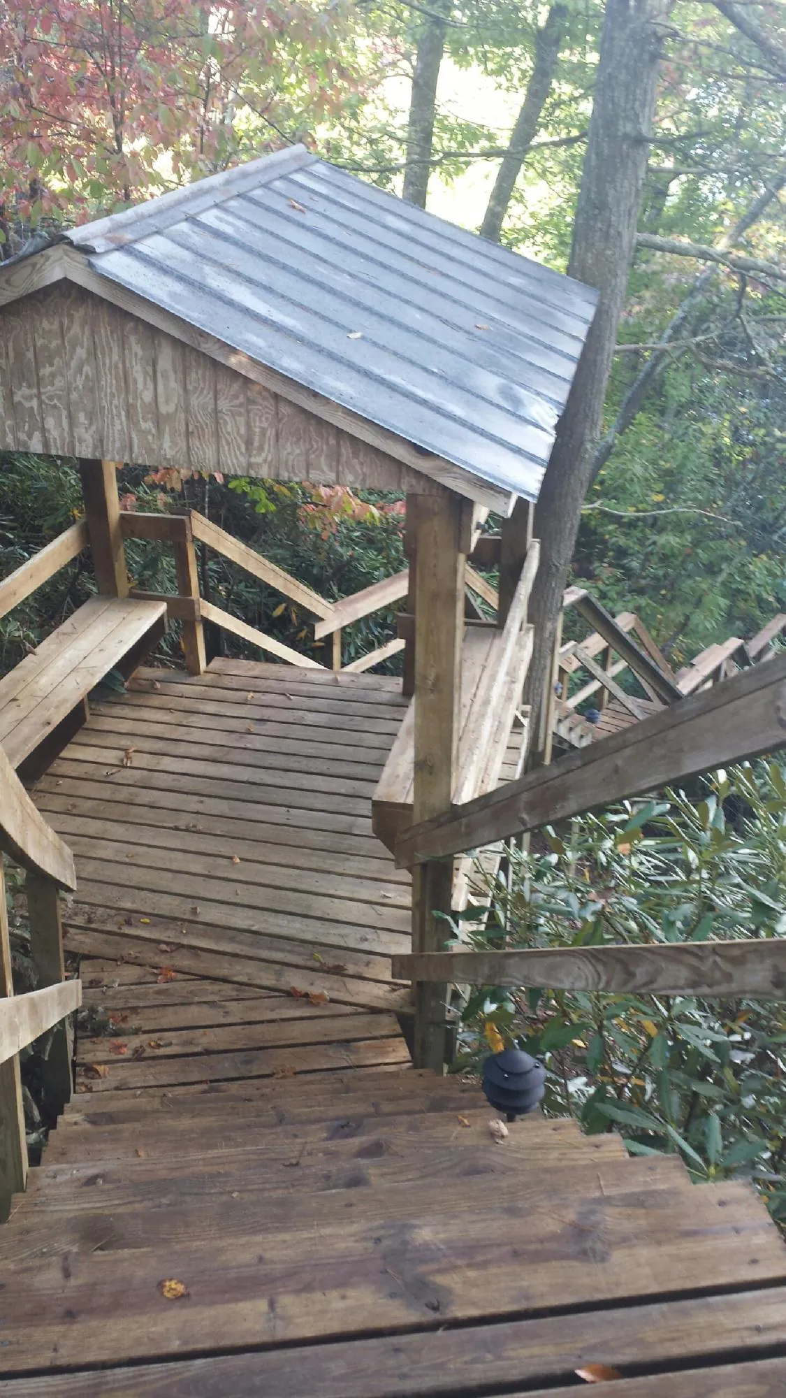 Metal roofed shelter over wooden steps on a wooded walkway — Skylight Repair & Installation work by our crew in Larchwood