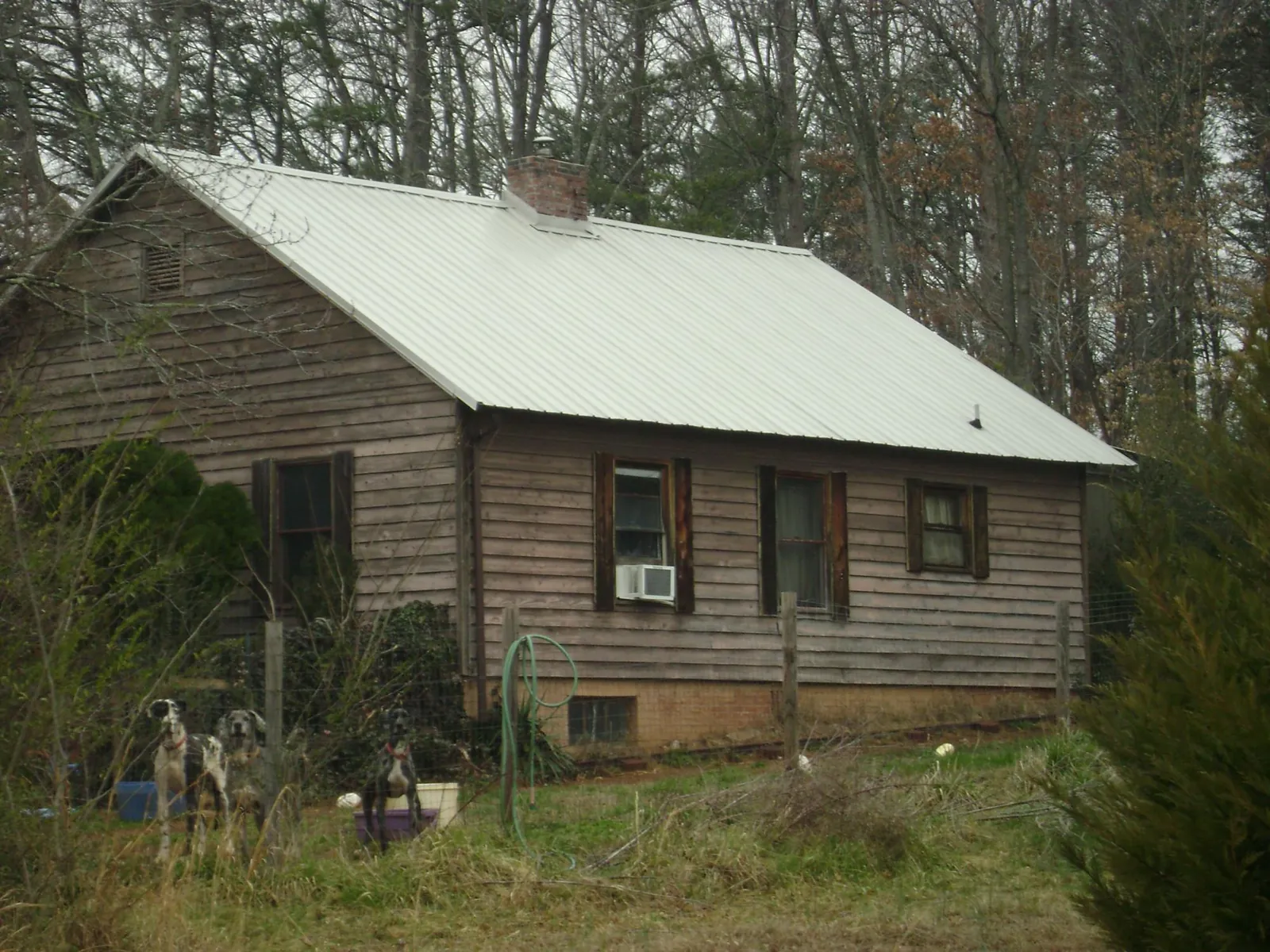 White metal roof on an old wood sided farmhouse, from a Asphalt Shingle Roof Repair job in Larchwood